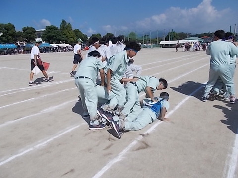 aaa(100031)