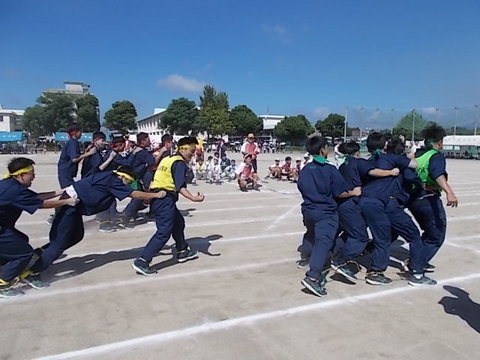 aaa(100039)