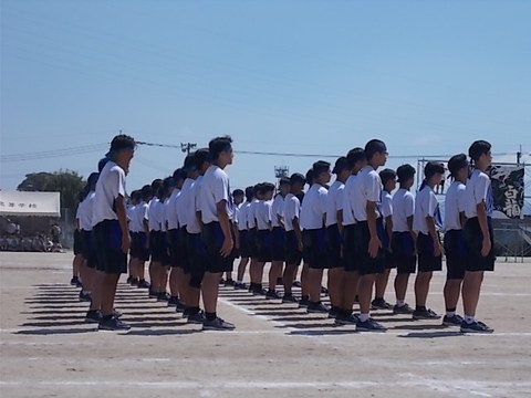 aaa(100055)