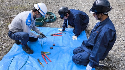 IMG_20260226_134936 IMG_20260226_134936