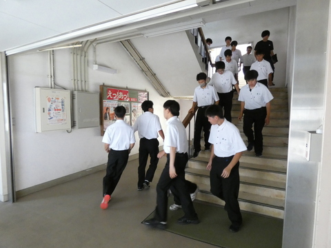 hinan(12)