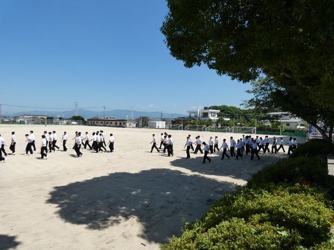 hinan(15)