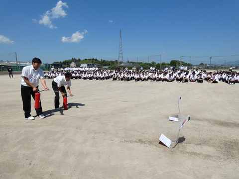 hinan(24)