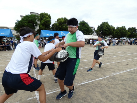 TAIIKUSAI(1017)