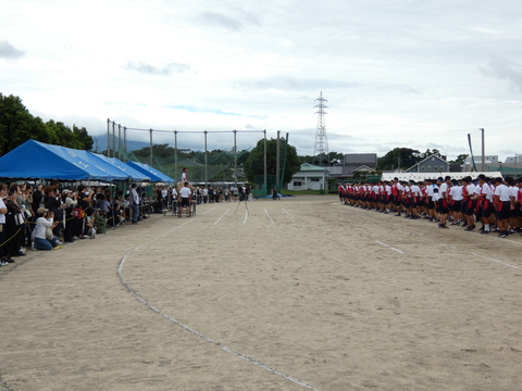 TAIIKUSAI(1061)