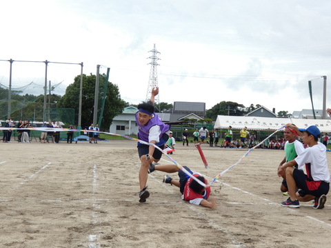TAIIKUSAI(1071)