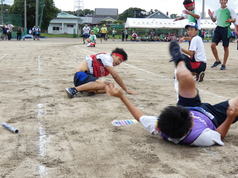 TAIIKUSAI(1073)