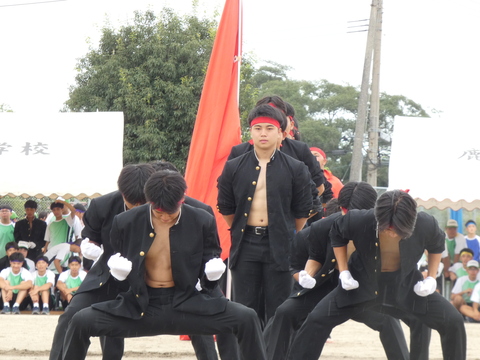 TAIIKUSAI(1124)