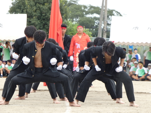 TAIIKUSAI(1125)