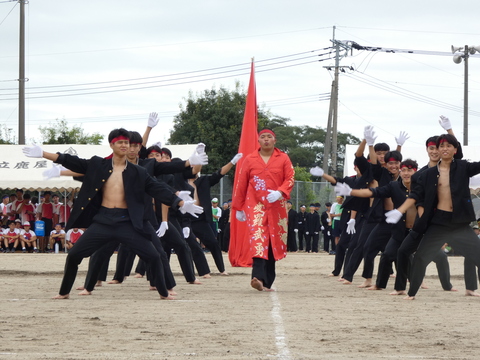 TAIIKUSAI(1126)