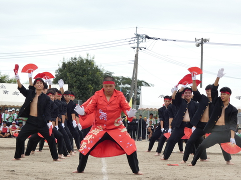 TAIIKUSAI(1127)