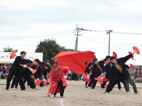 TAIIKUSAI(1128)