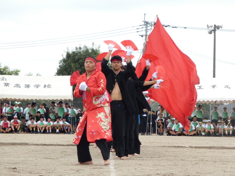 TAIIKUSAI(1129)