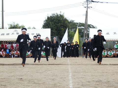 TAIIKUSAI(1140)
