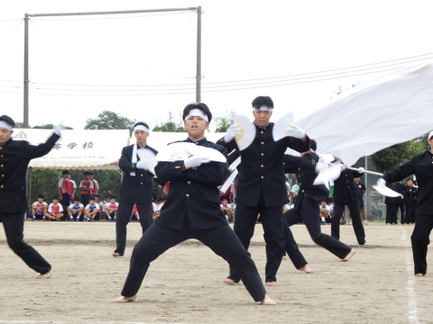 TAIIKUSAI(1143)