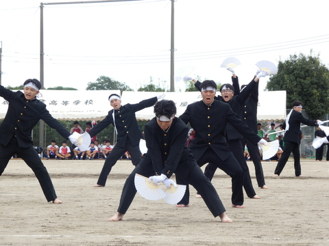 TAIIKUSAI(1144)