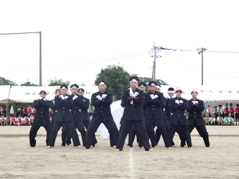 TAIIKUSAI(1145)