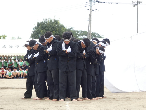 TAIIKUSAI(1151)