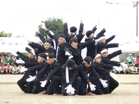 TAIIKUSAI(1153)