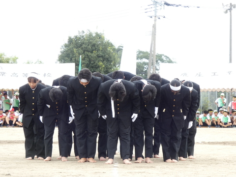 TAIIKUSAI(1154)