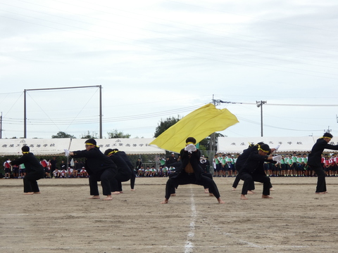 TAIIKUSAI(1158)