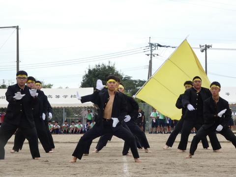 TAIIKUSAI(1162)