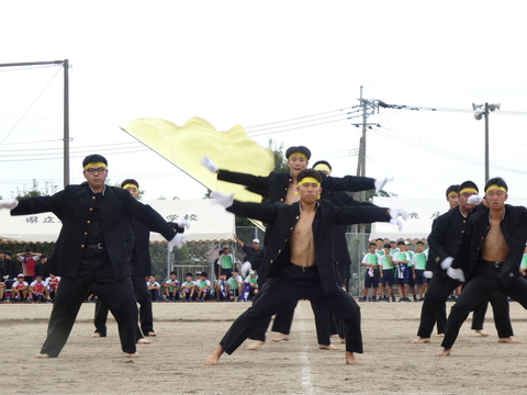 TAIIKUSAI(1163)