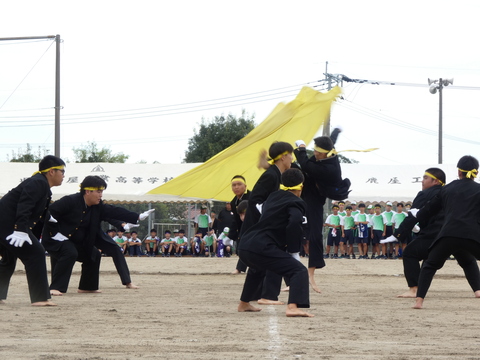 TAIIKUSAI(1164)