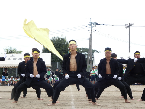 TAIIKUSAI(1168)
