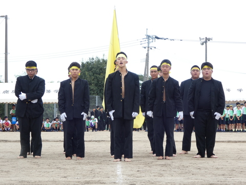 TAIIKUSAI(1173)