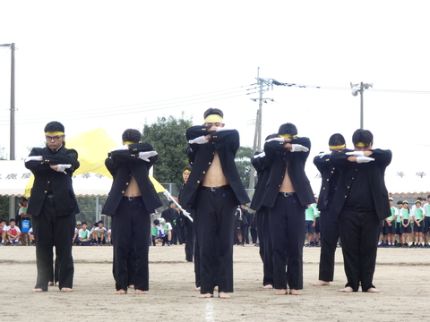 TAIIKUSAI(1174)