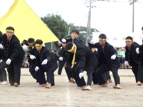 TAIIKUSAI(1177)