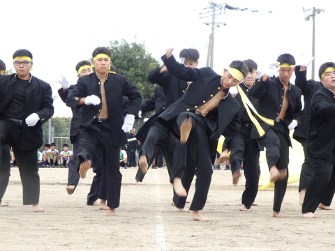 TAIIKUSAI(1178)