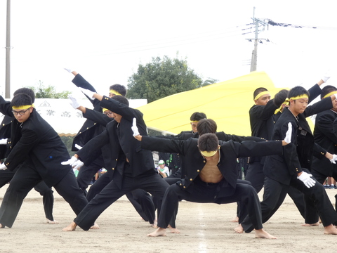 TAIIKUSAI(1179)