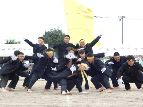 TAIIKUSAI(1182)