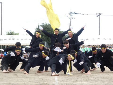 TAIIKUSAI(1183)