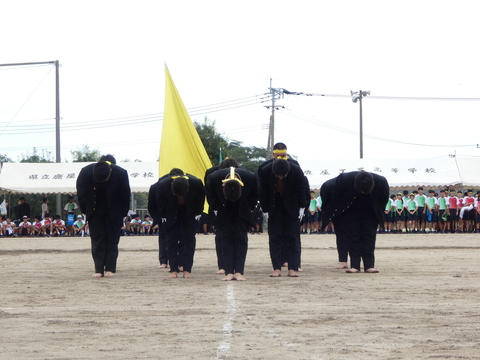 TAIIKUSAI(1184)