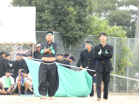 TAIIKUSAI(1188)