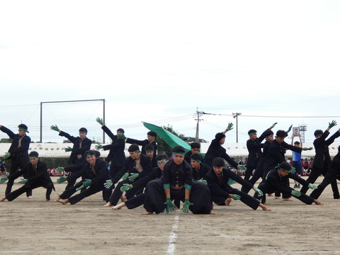 TAIIKUSAI(1200)