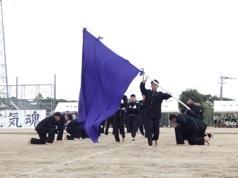 TAIIKUSAI(1205)