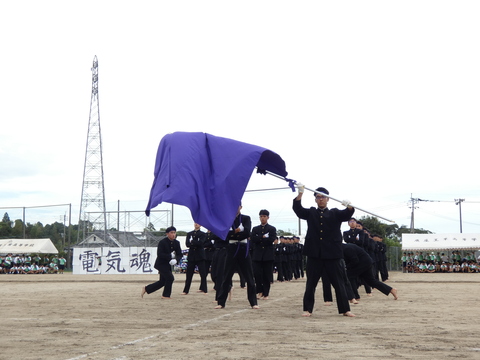 TAIIKUSAI(1206)