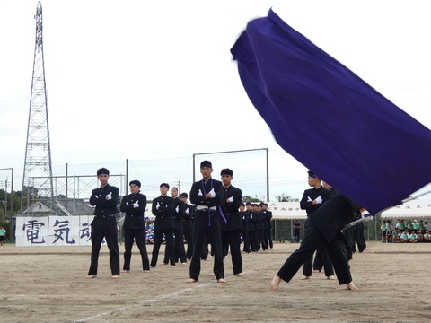 TAIIKUSAI(1207)
