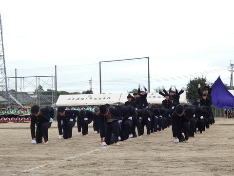 TAIIKUSAI(1209)