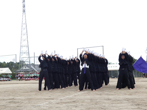 TAIIKUSAI(1211)