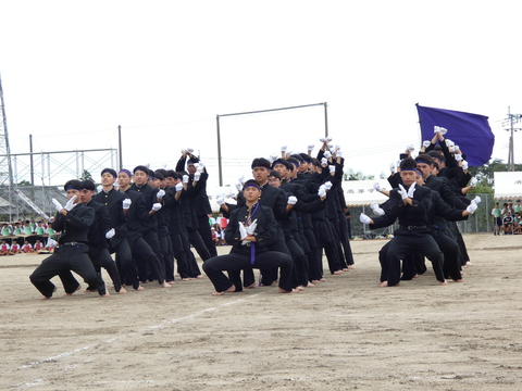 TAIIKUSAI(1212)
